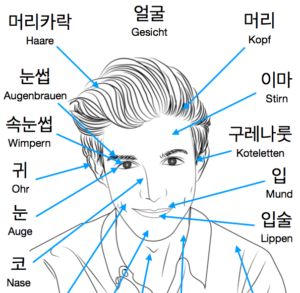 Koreanische Lernkarten